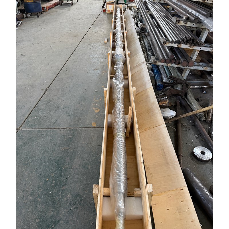 Entrega diaria | El husillo de bolas modelo 10020 tiene una longitud de hasta 8 metros